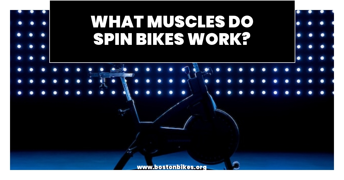 What Muscles Do Spin Bikes Work? (Uncover Your Body's Ultimate Strength)